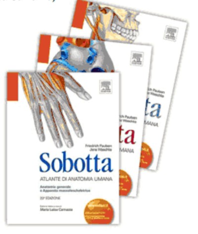 Sobotta - Atlante di Anatomia Umana - COFANETTO con 3 volumi indivisibili